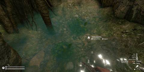 A Water Source In Green Hell