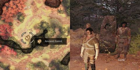 Fast Travel In GreedFall 2