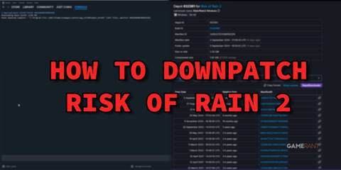 featured image, how to downpatch risk of rain 2