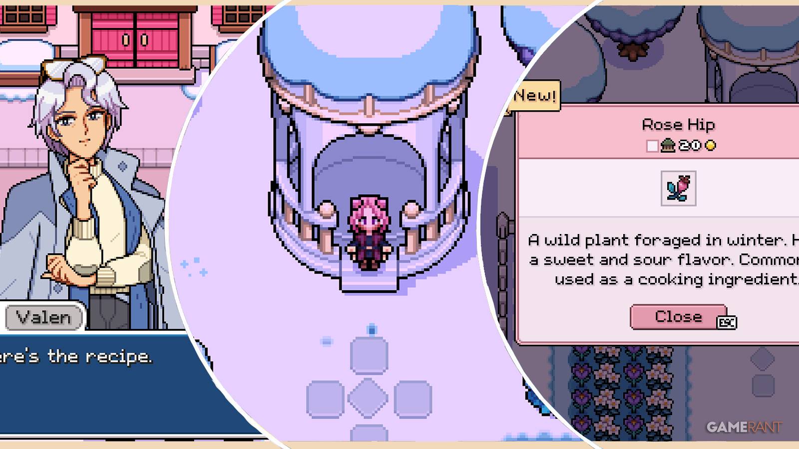 fields of mistria where to find rose hips feature image