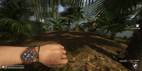 Hilltop Flatlands in Green Hell