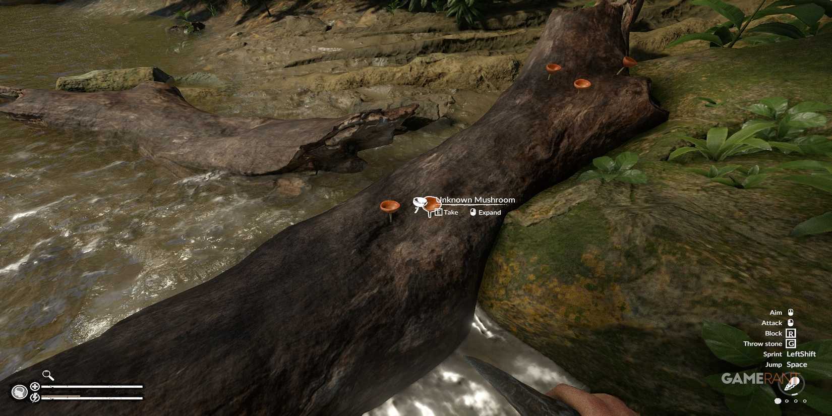 Orange Mushroom In Green Hell