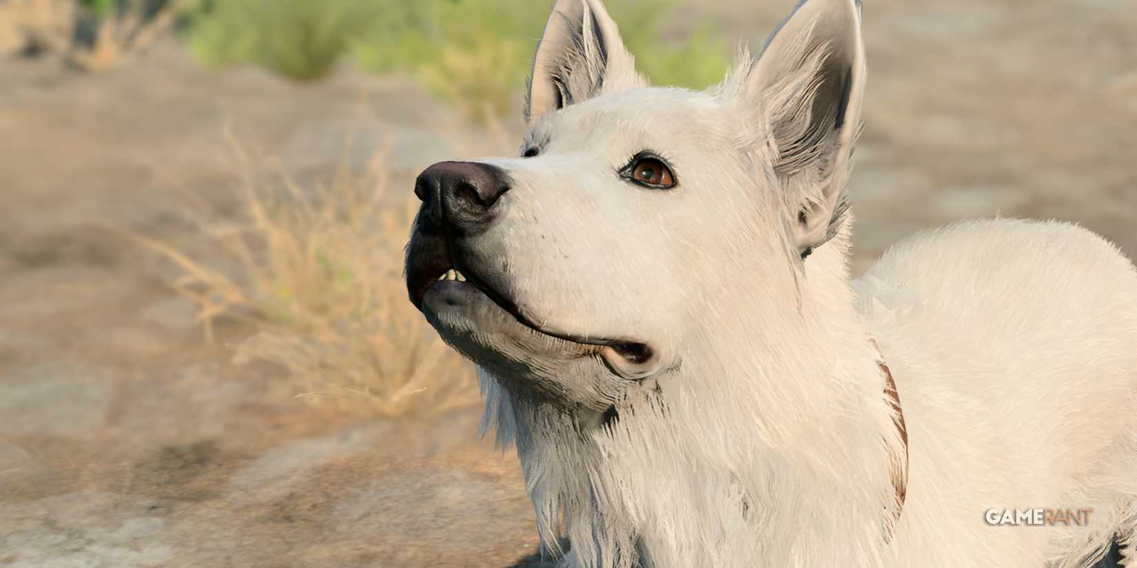 Scratch receives upgrades in exploration and combat with the 'Scratch Overhaul' mod in Patch 7