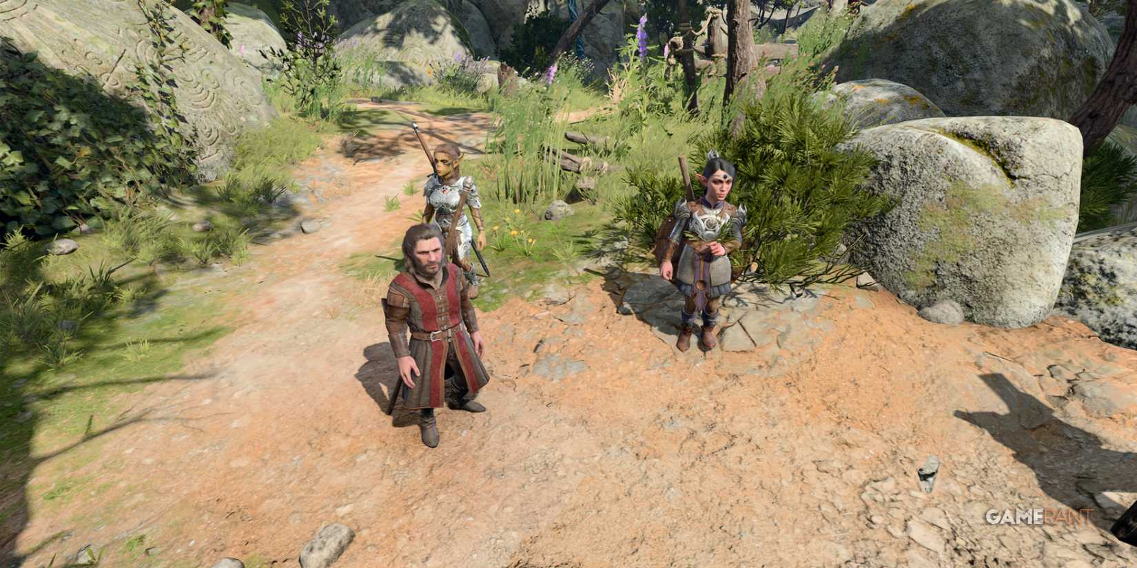 Shorter-sized companions exploring the landscape with the 'Short companions' mod in Baldur's Gate 3