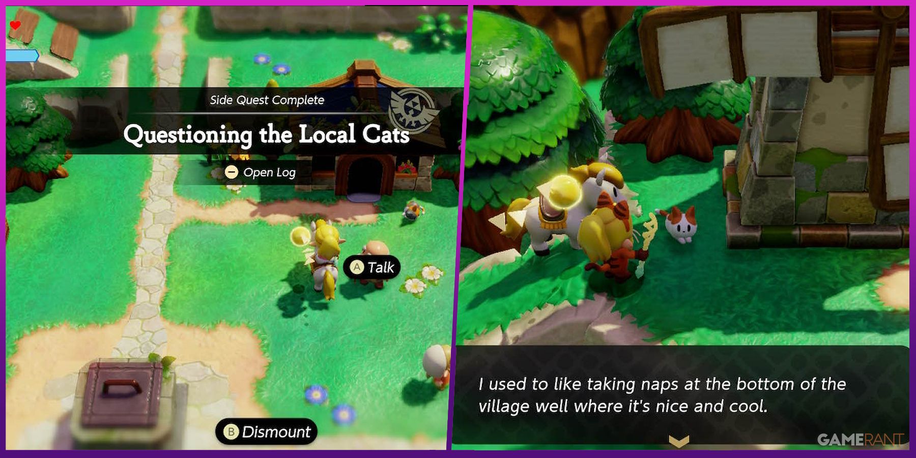 Questioning the Local Cats Walkthrough - Zelda: Echoes of Wisdom