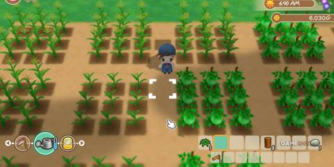 Character standing amidst lush crops, ready to tend to a rural farm in Story of Seasons