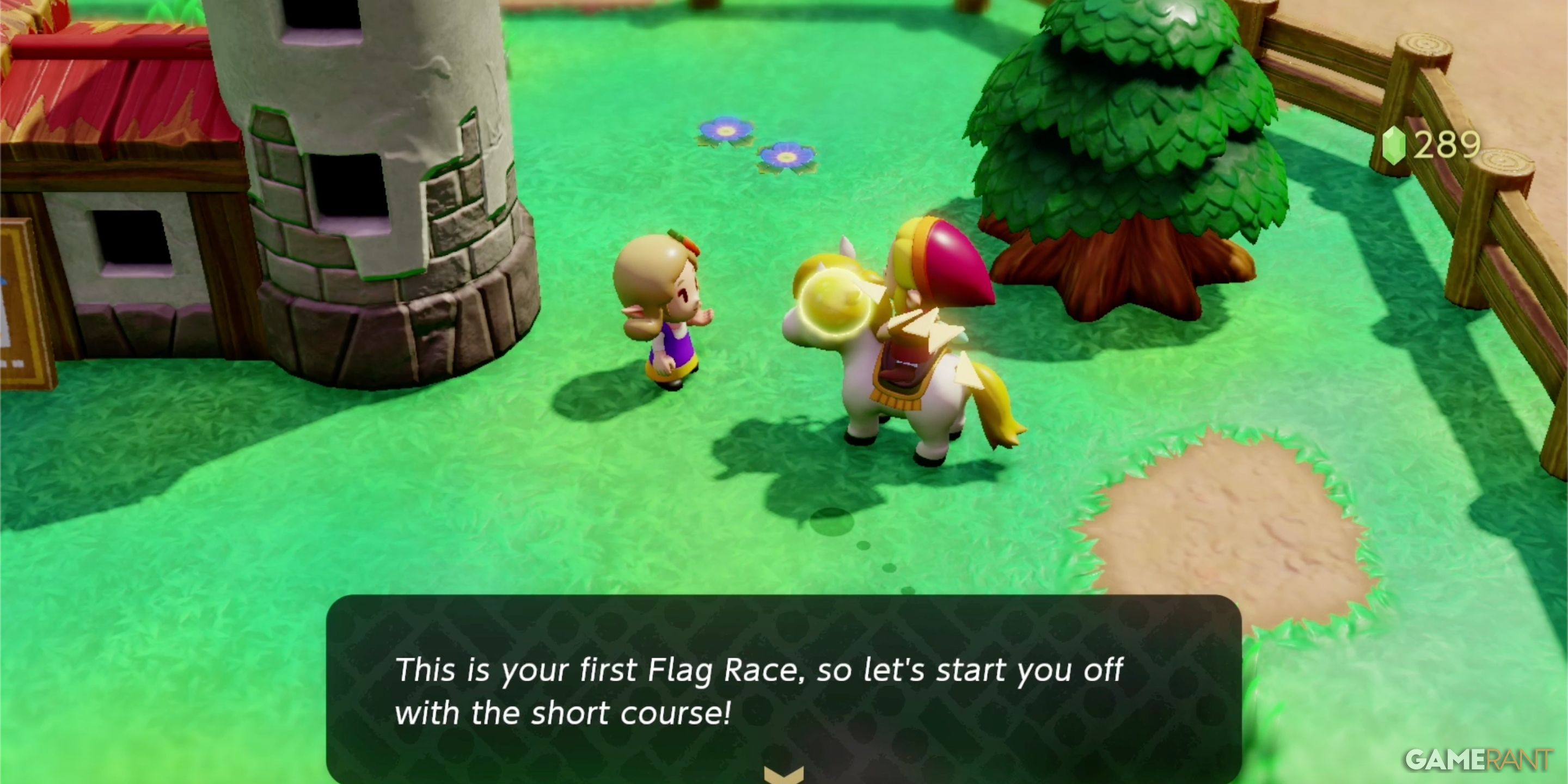 How to Win All Flag Races in Echoes of Wisdom