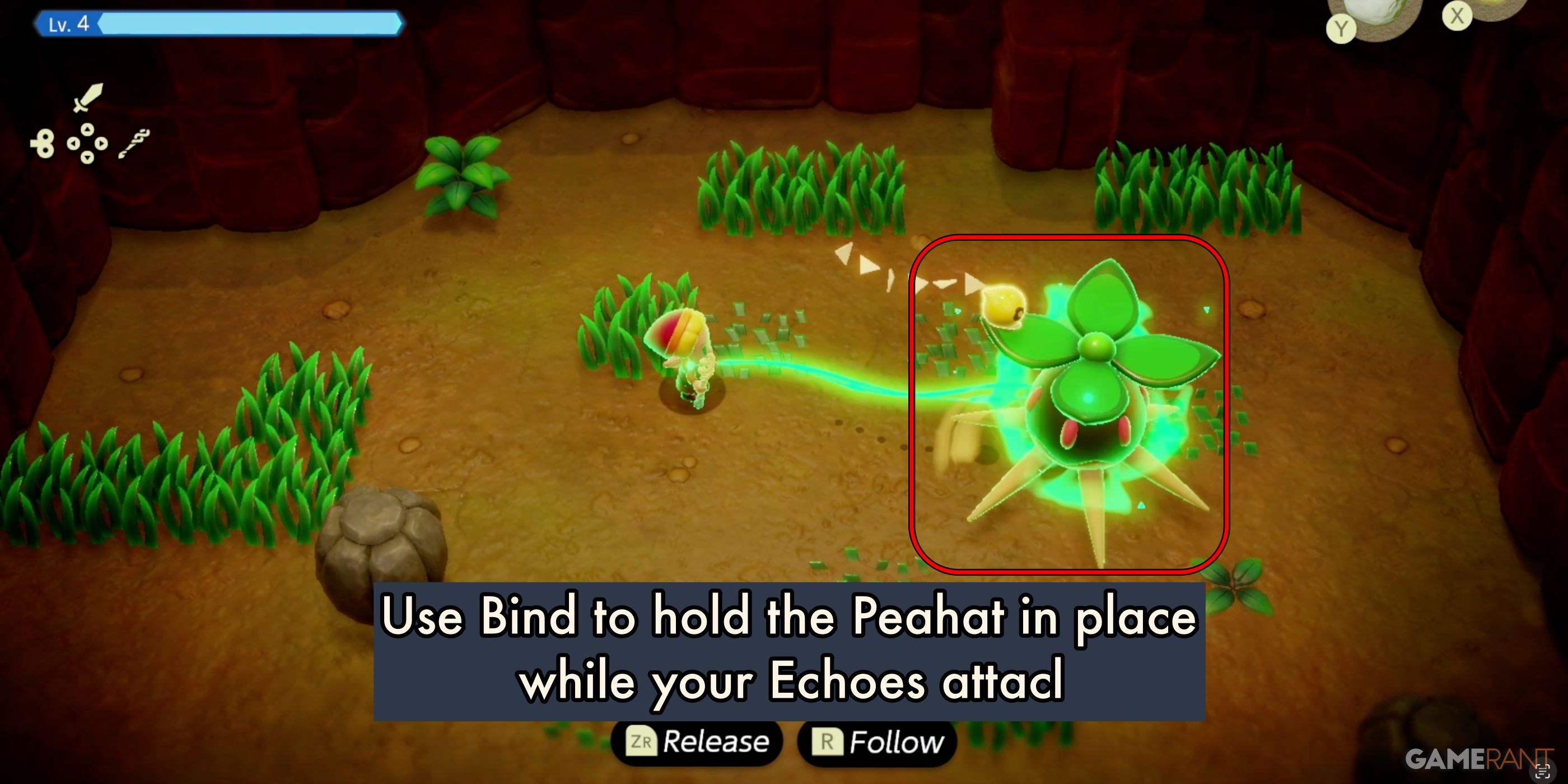 Где найти Peahat Echo в Zelda: Echoes of Wisdom