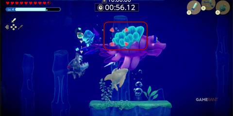 EoW-Slumber-Dojo-TG-2