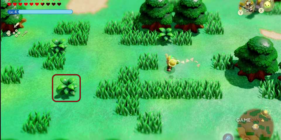 EoW-West-Hyrule-MC-12