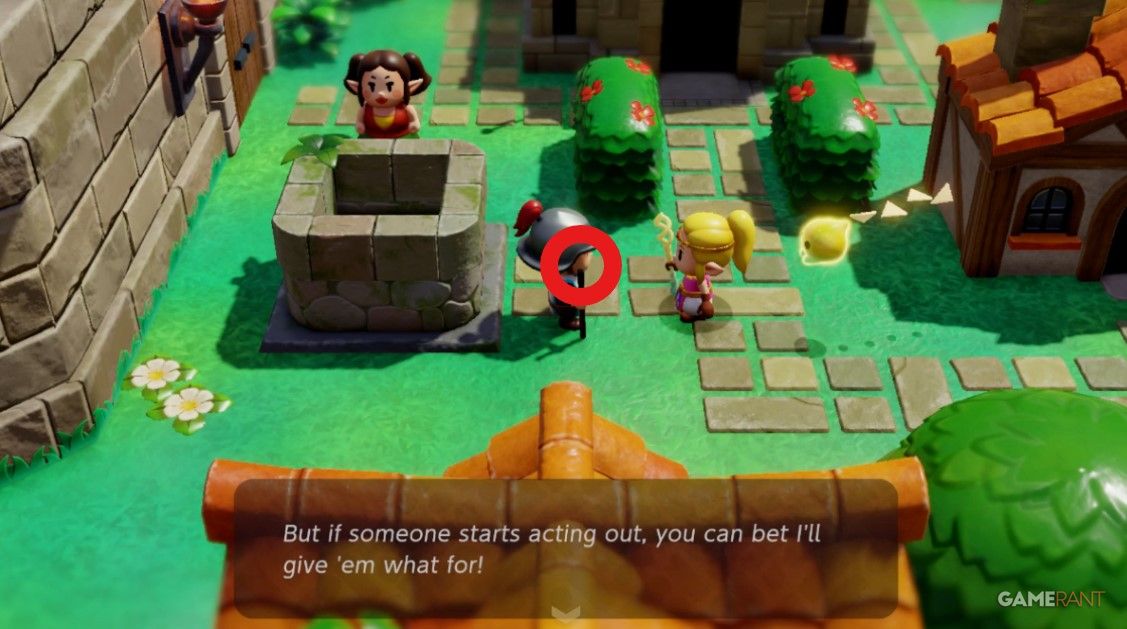 guard in hyrule town echoes of wisdom