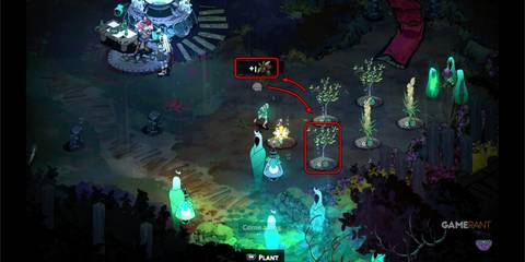 HAdes-2-Grown-Olives