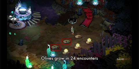 Hades-2-Olives-Plant