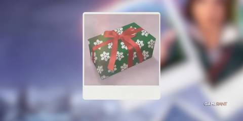 Life Is Strange ch2 Polaroids 1 Present (2)