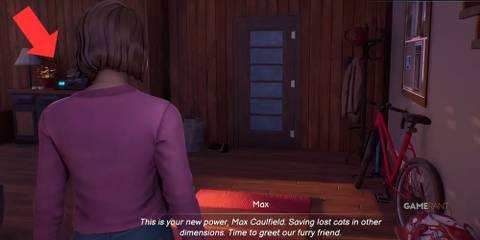 Life Is Strange ch2 Polaroids 5