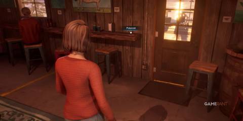 Life Is Strange Polaroids 1 door