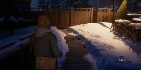 Life Is Strange Polaroids 2 ground