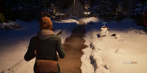 Life Is Strange Polaroids 2 snowman 2