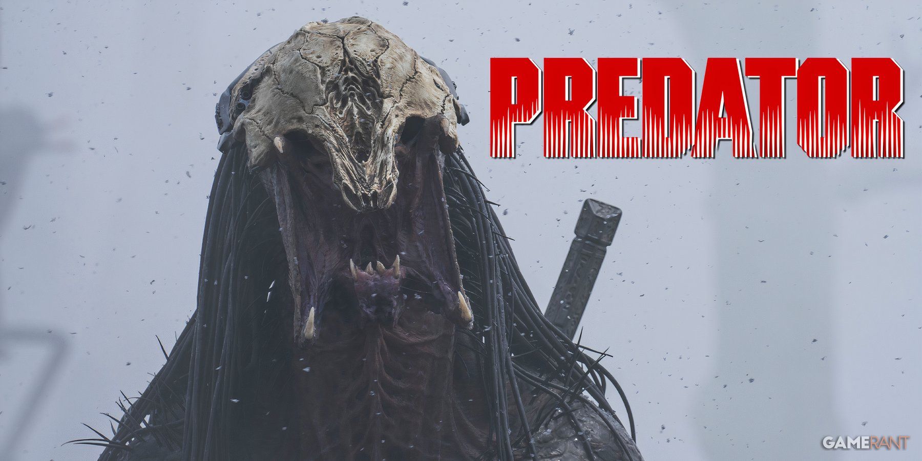 Predator Animated Movie Plot Details Possibly Revealed by New Rumor