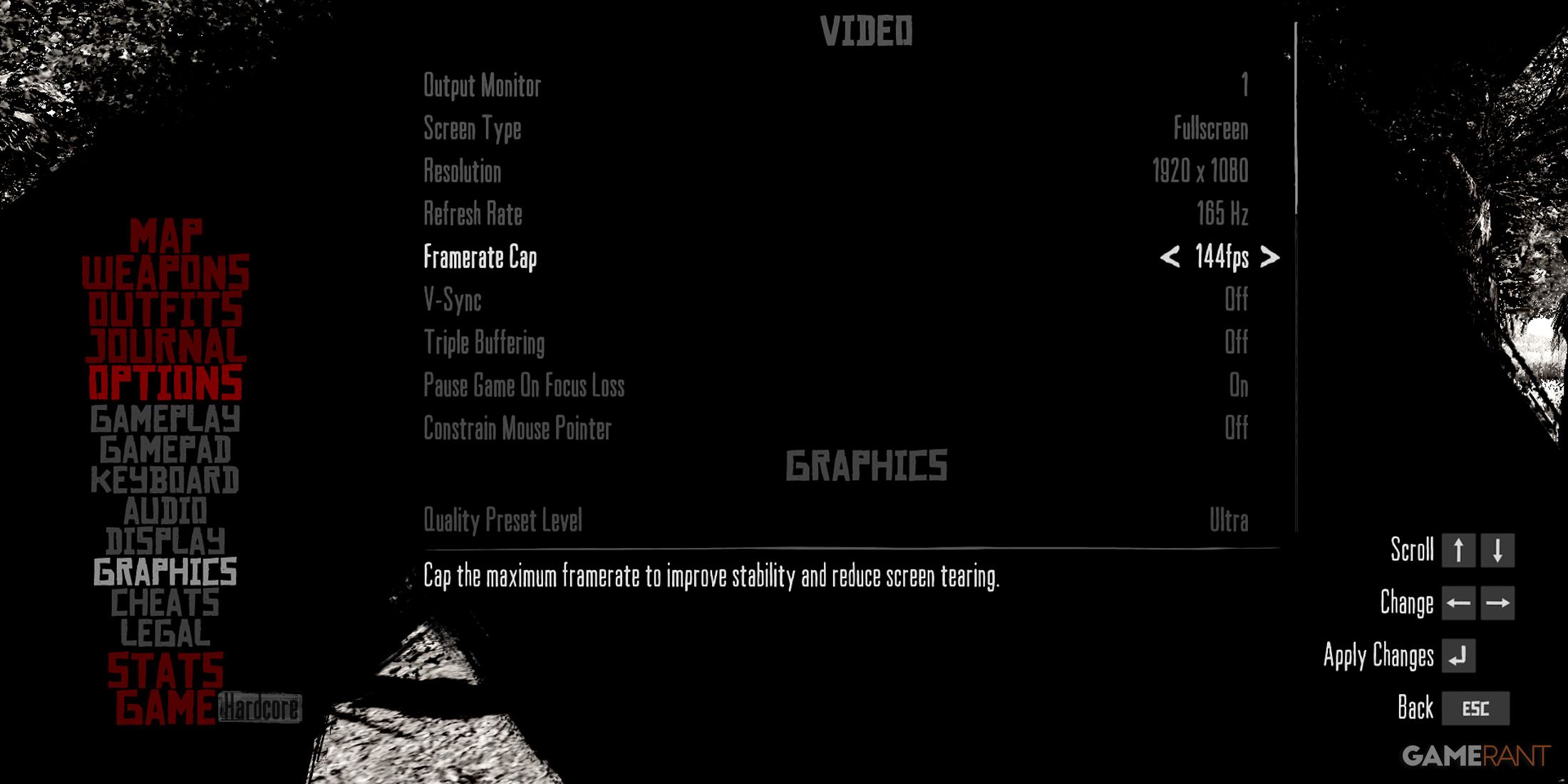 Graphics menu in Red Dead Redemption PC