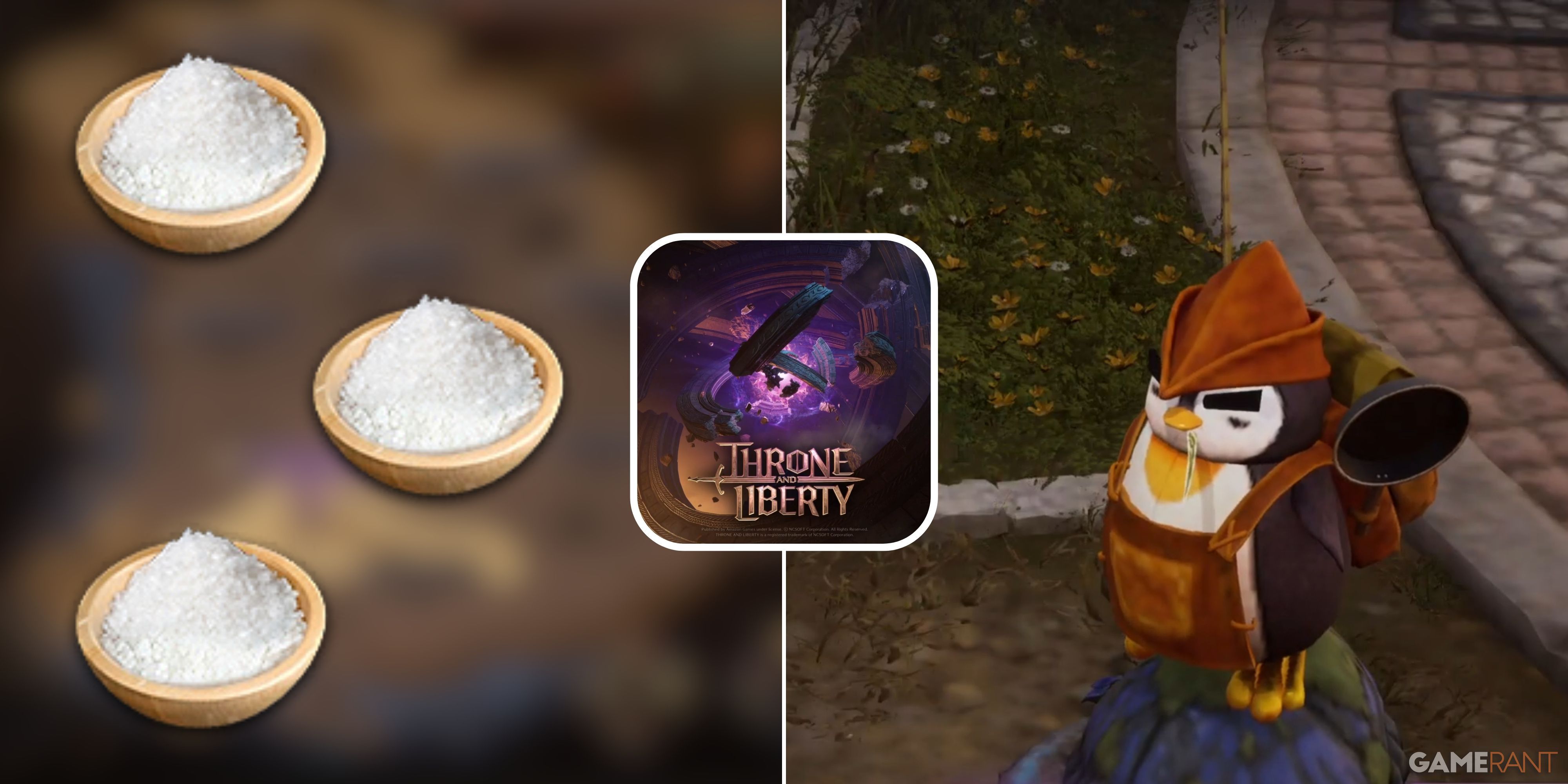 Throne And Liberty: How To Get Salt