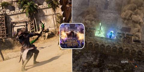 Throne and Liberty Support Builds split image