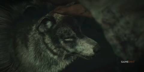 Until Dawn Wolf petting