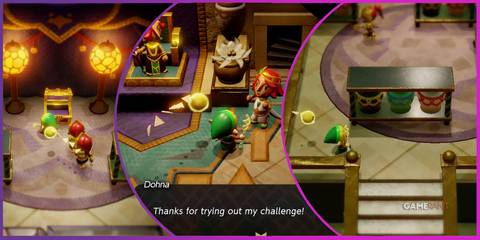 zelda echoes of wisdom dohna's challenge feature image