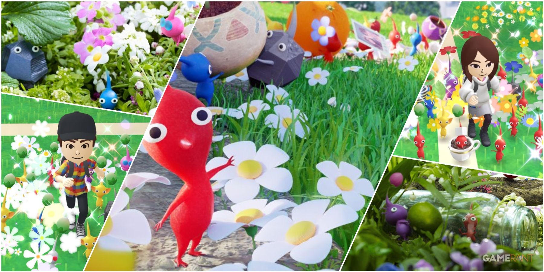 A Collage Of Key Art & Key Frames From Pikmin Bloom