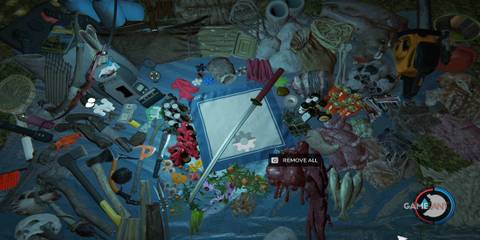 A Katana In The Backpack