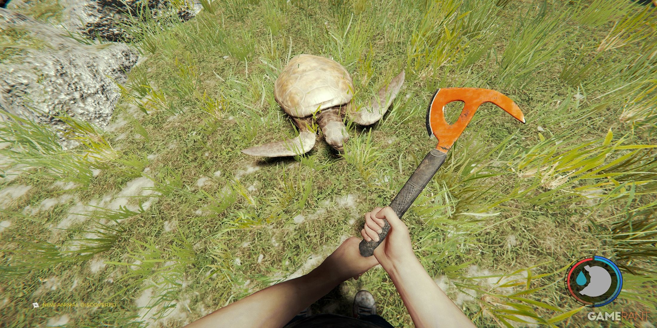 The Forest Where To Find Turtles palworld-map-coordinates-mabel-brandice