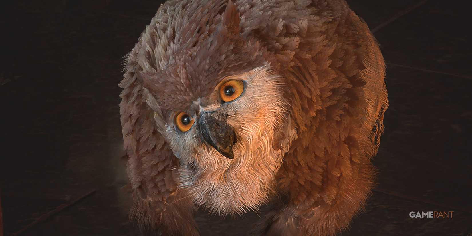 Baldur's Gate 3 Owlbear Cub head tilt 2x1 gameplay screenshot