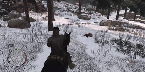 Best Beaver Hunting Spots in Red Dead Redemption