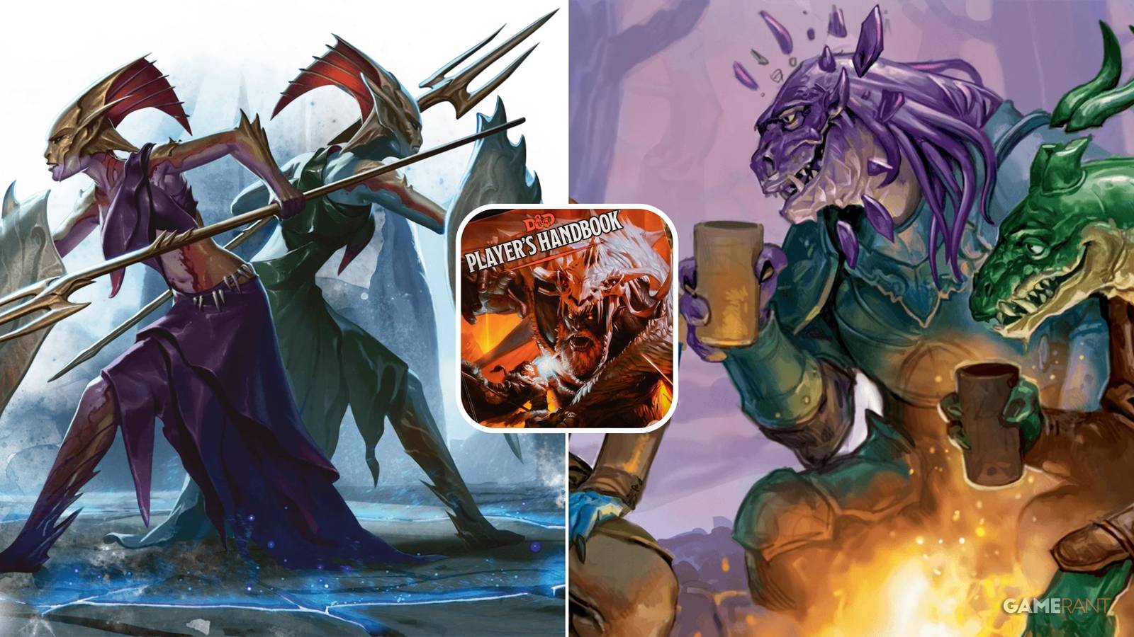 D&D Best Race for stat bonuses