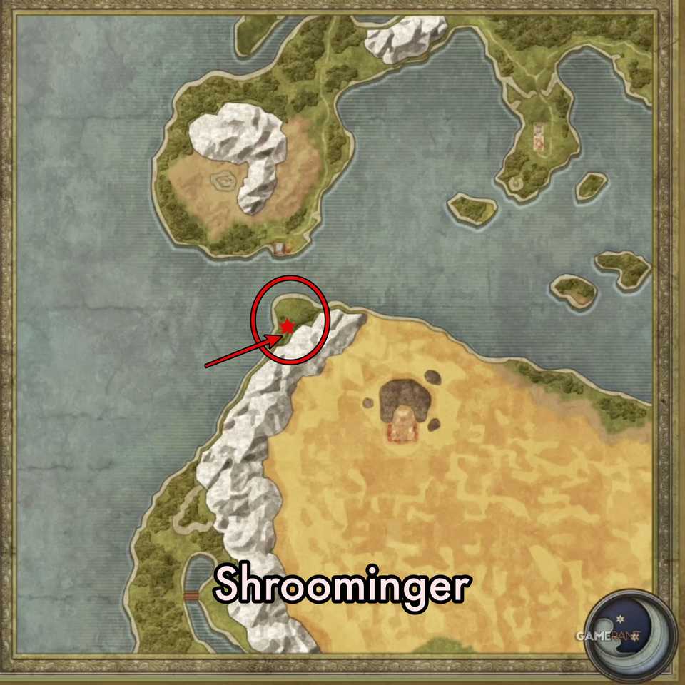 DQ3-FM-Shroominger-Map