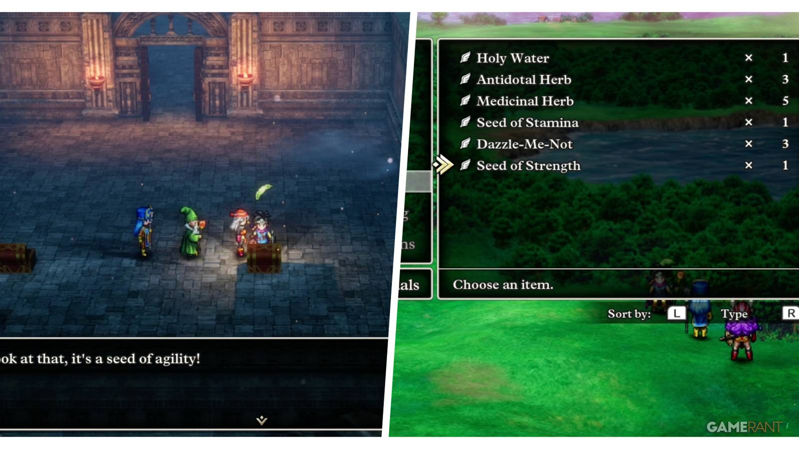 DQ3-Use-Share-Seeds-Featured