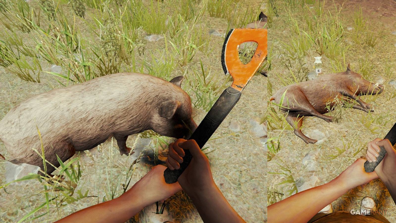 How To Find Boars In The Forest