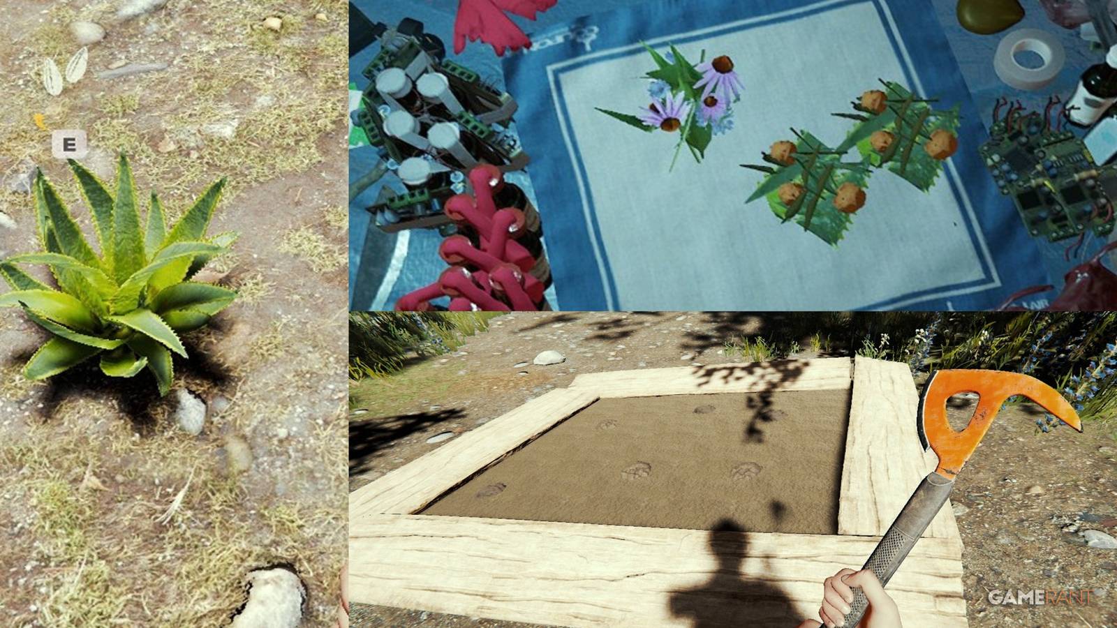 How To Get Aloe In The Forest