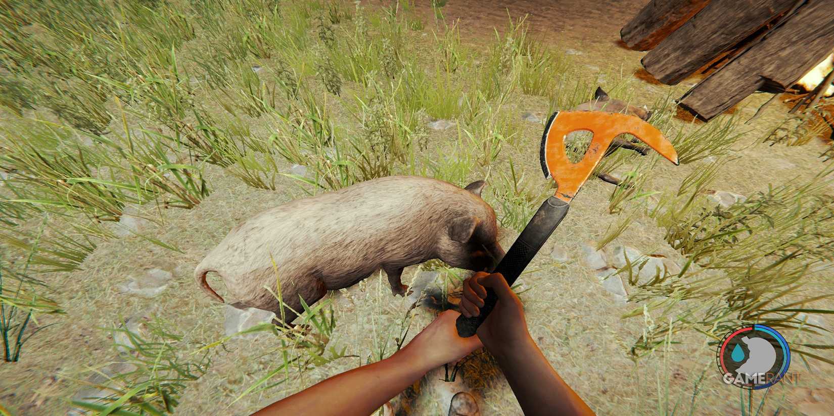 Hunting A  Boar In The Forest