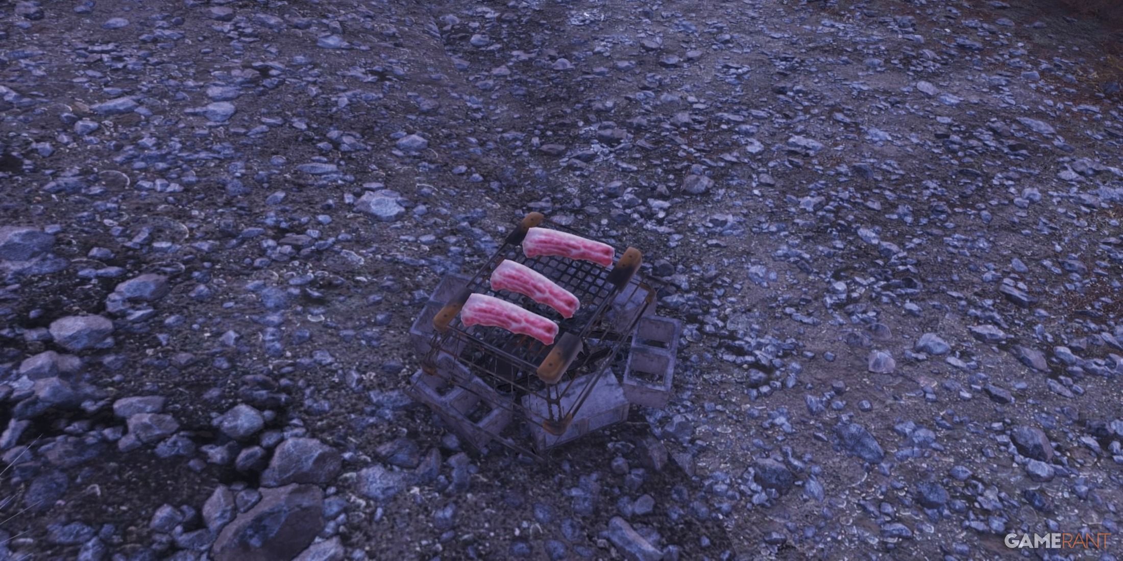 Pemmican Collector in Fallout 76