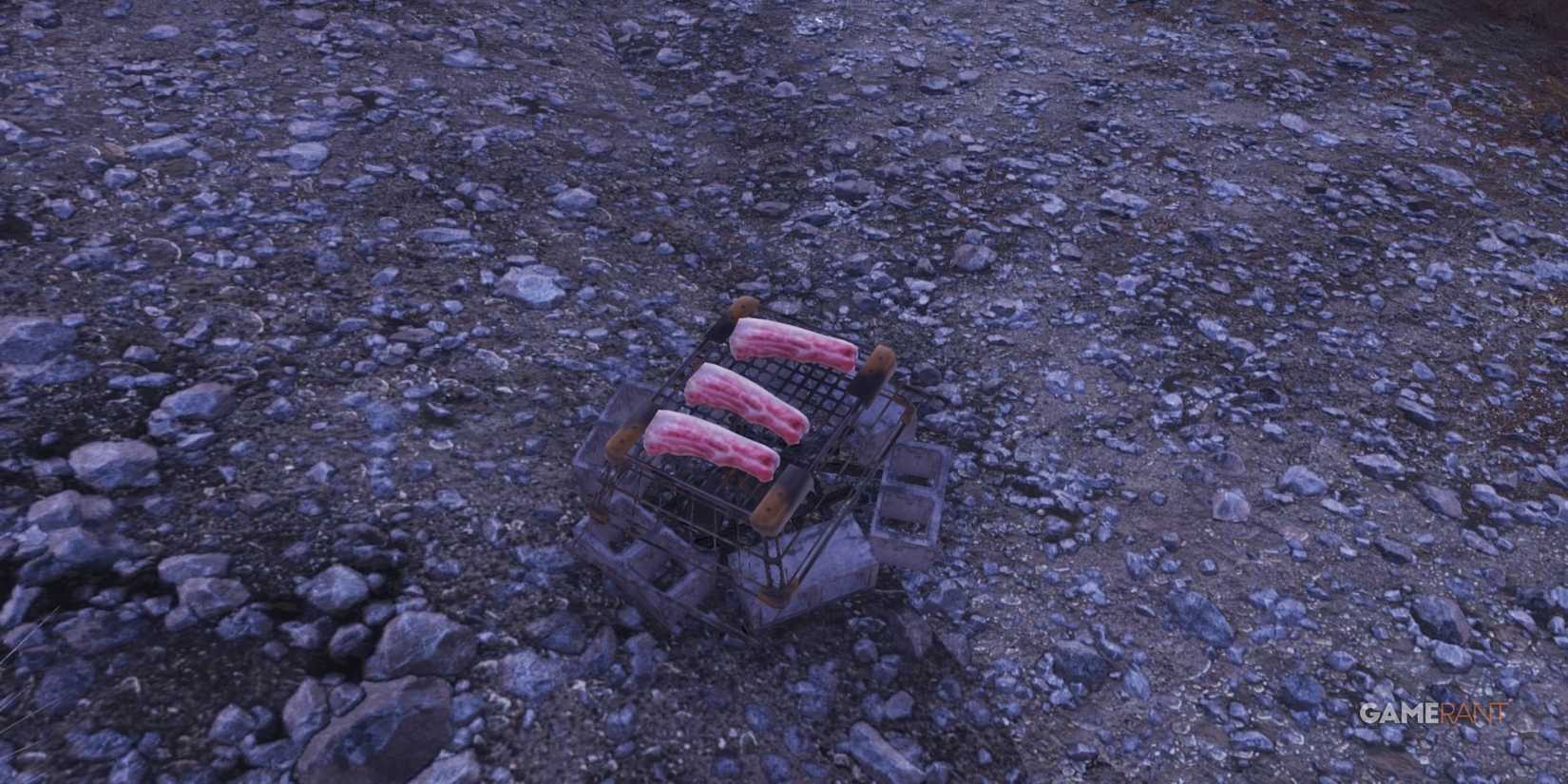 Pemmican Collector in Fallout 76