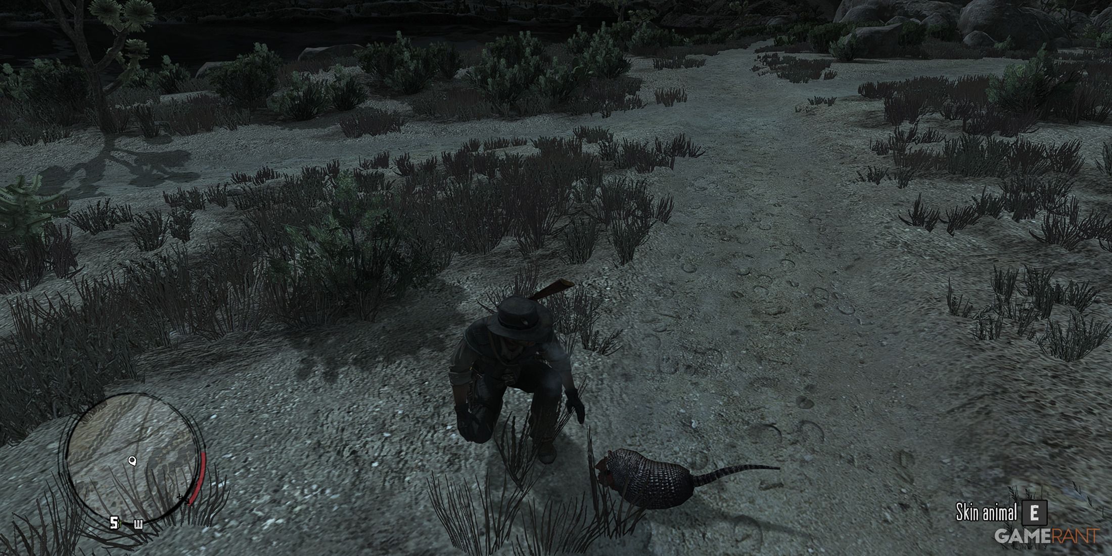 RDR - Dead Armadillo