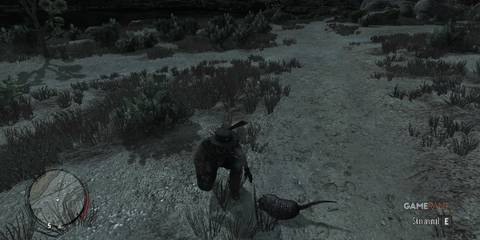 RDR - Dead Armadillo