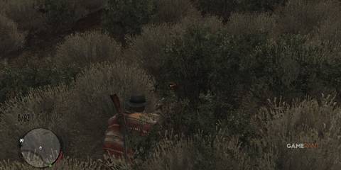 John Marston finding a snake in Red Dead Redemption