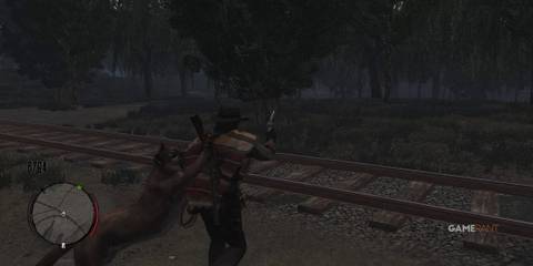 Cougar attack John Marston in Red Dead Redemption