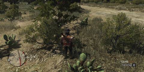 John Marston from Red Dead Redemption Standing Before A Red Sage Herb