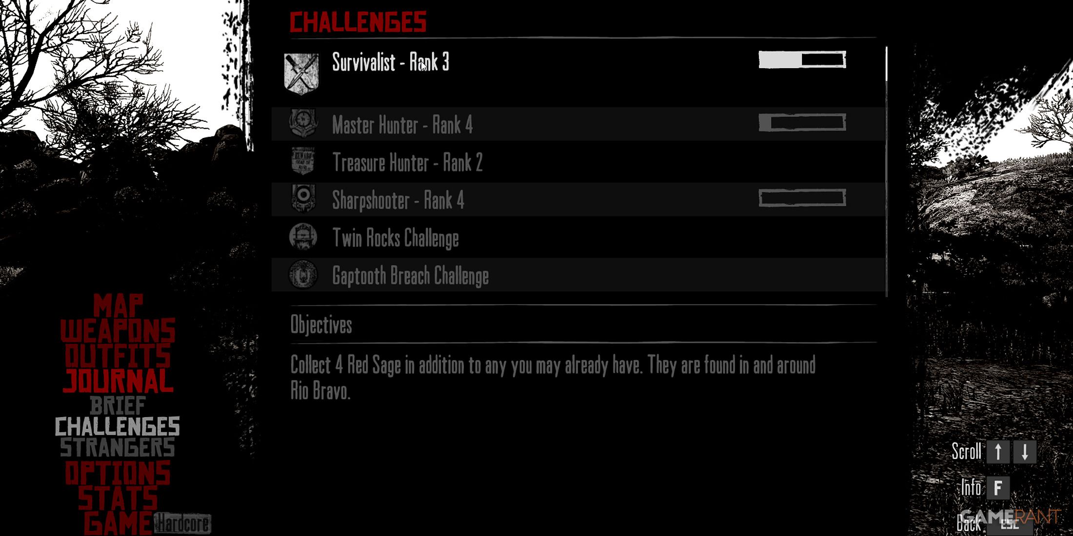 Survivalist Challenge Rank 3 in Red Dead Redemption