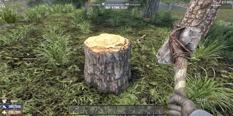 A Tree Stump In 7 Days To Die