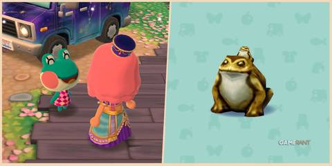 animal crossing pocket camp complete how to get lucky frog feature image