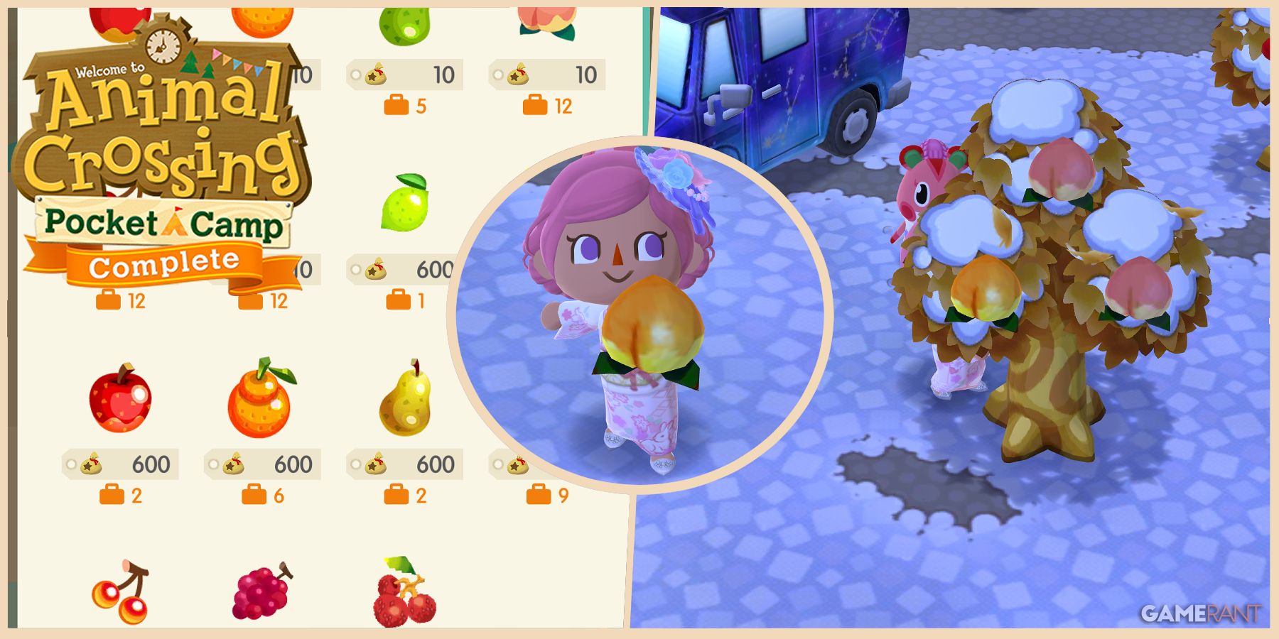 What to Do with Perfect Fruit in Animal Crossing: Pocket Camp Complete